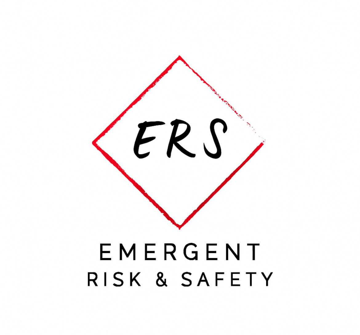 Emergent Risk & Safety